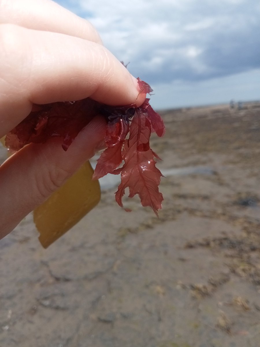 Duncan Smallman 🇺🇦💛 tweet media