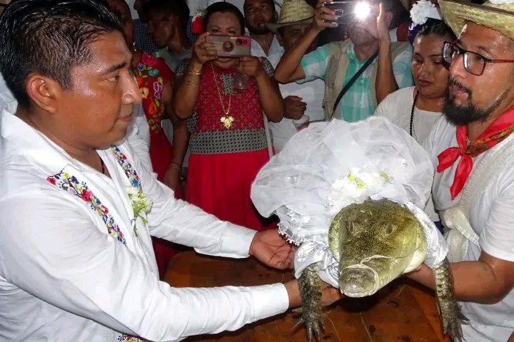 “We love each other,” Mexican mayor says, as he weds a reptile

Victor Hugo Sosa, the mayor of San Pedro Huamelula, a town in southern Mexico, has married a female crocodile in a traditional rite to bring good fortune to his people.