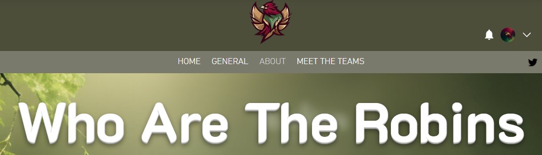 Robins Esports tweet media