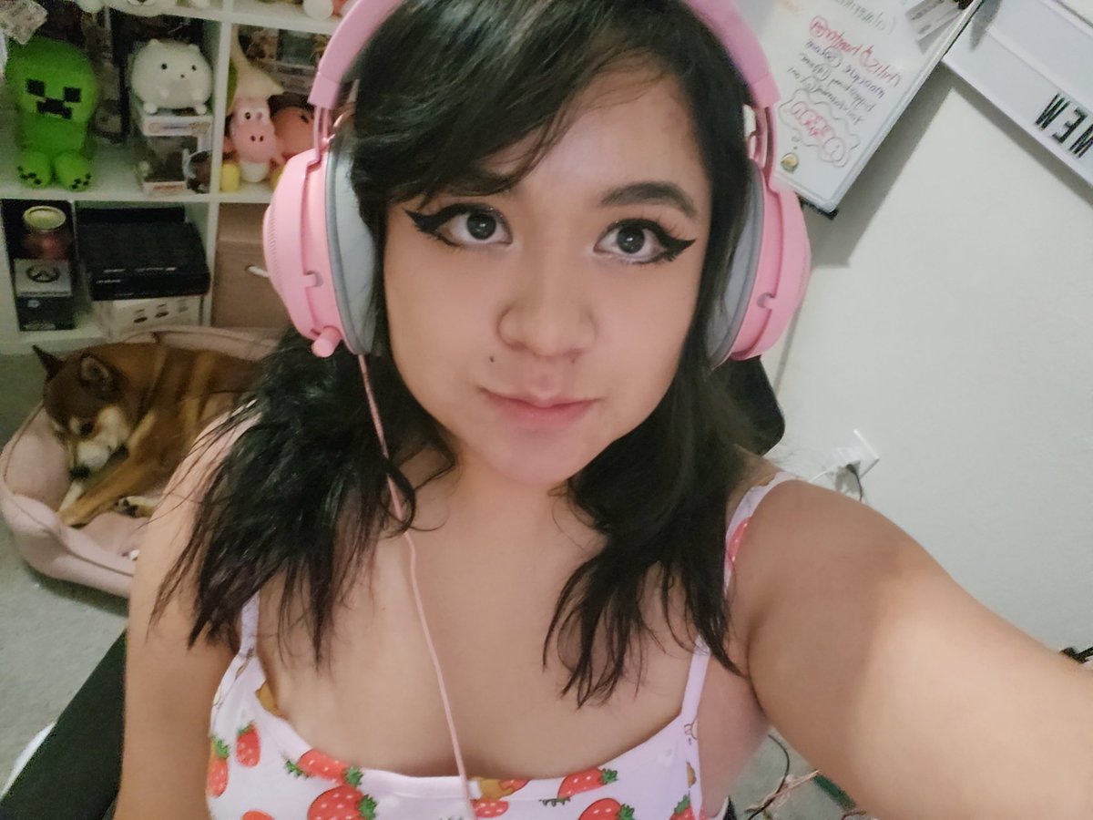 Mewspeak2's tweet photo. Gaming last night with my pets ♡ https://t.co/seEGbl7WXk