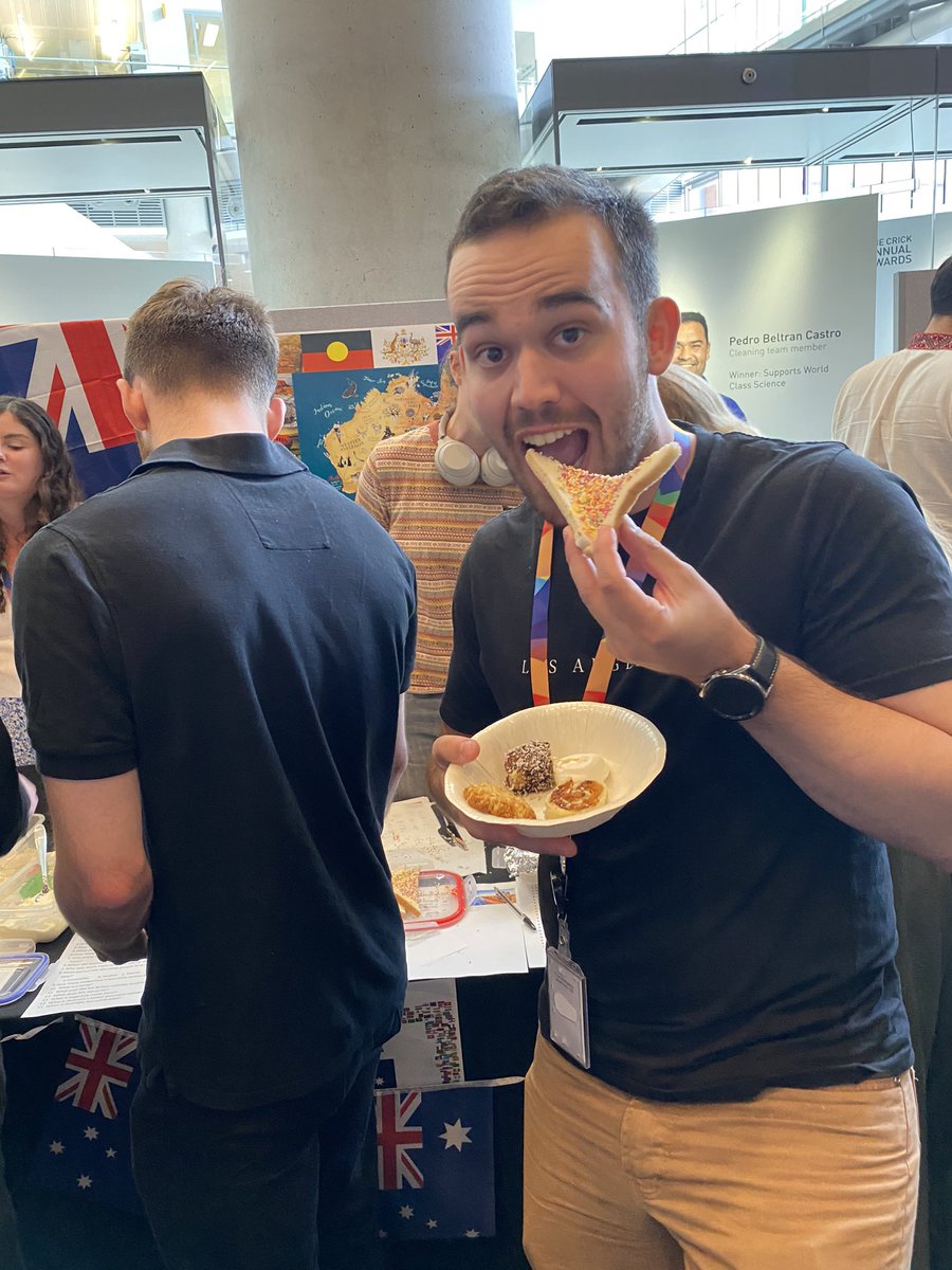 Güneş Taylor tweet media