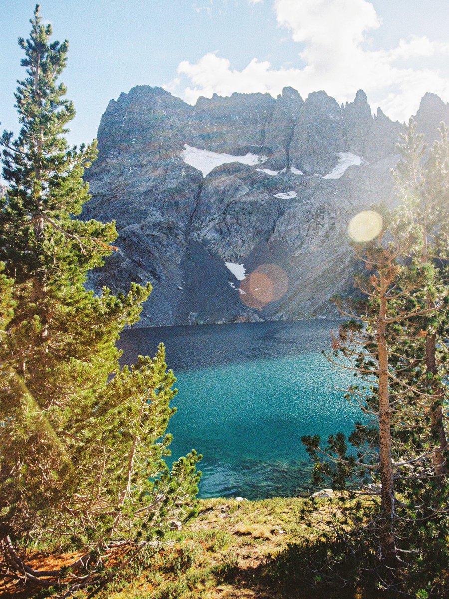 Brad Baldwin tweet media