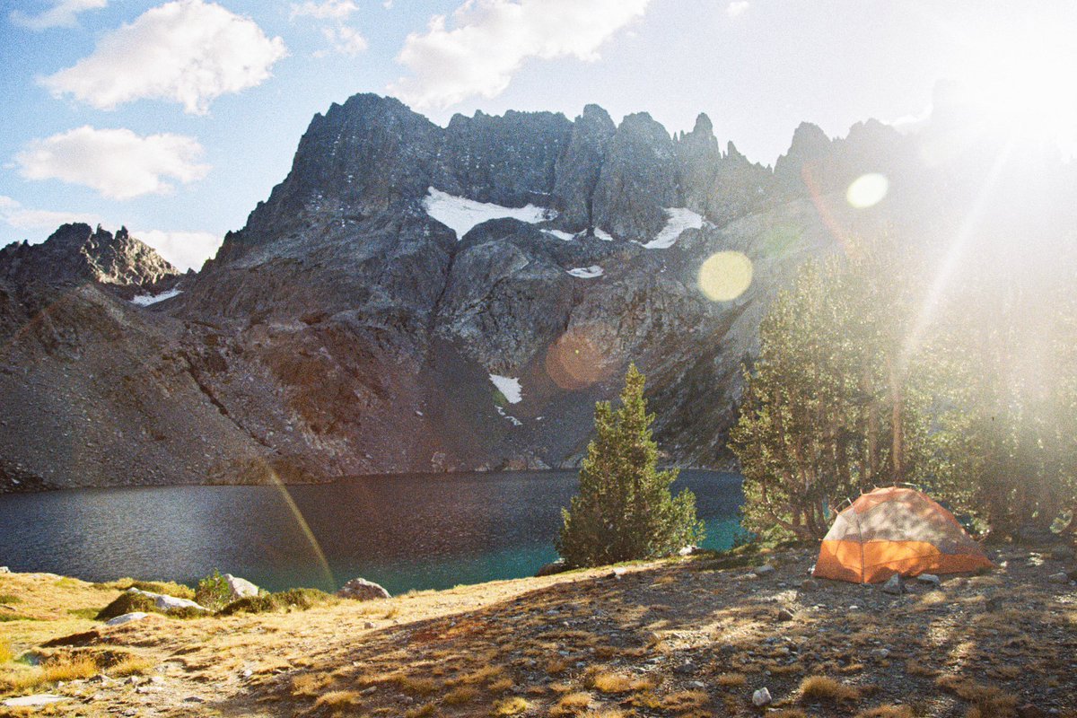 Brad Baldwin tweet media