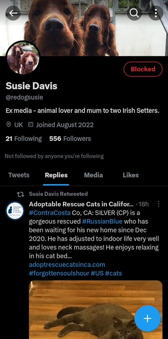 The real Susie Davis @reddogsusie is away from twitter with a very sick parent and some filthy scammer is impersonating her for money. Notice the scammer has one less 'd' in their username. Please report and block. 😡