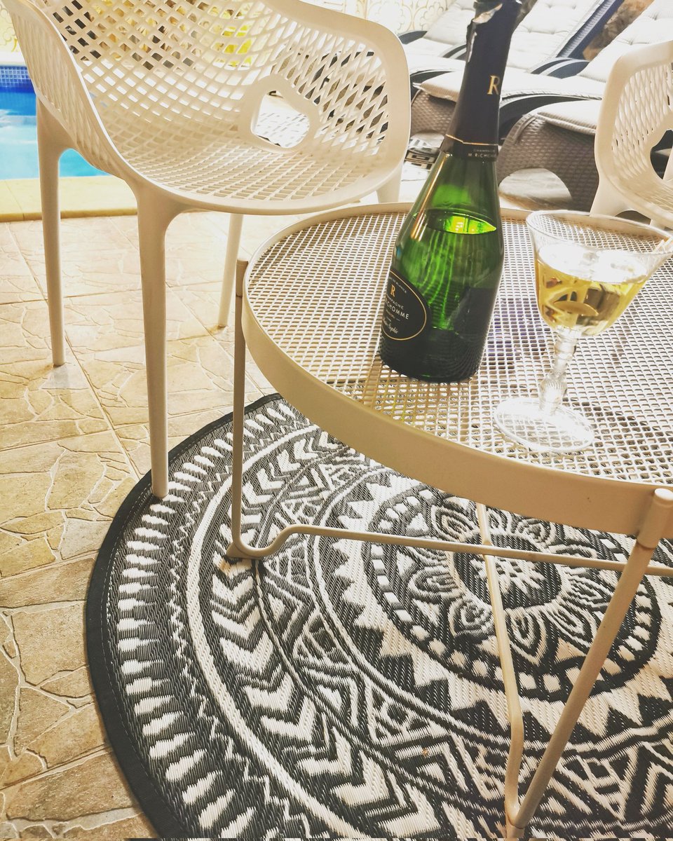 sonja mohlich tweet media