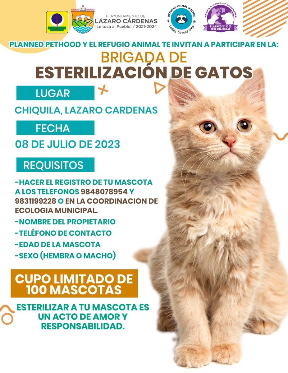 📣Planned Pethood International  y el Refugio Animal Holbox , con el apoyo de la Coordinación de #EcologíaMunicipal te invitan a la Brigada de #Esterilización de #Gatos.🐈
📌Puerto de Chiquila
🗓️8 de Julio
🔸Cupo limitado para 100 mascotas
consulta los requisitos 👇🏻