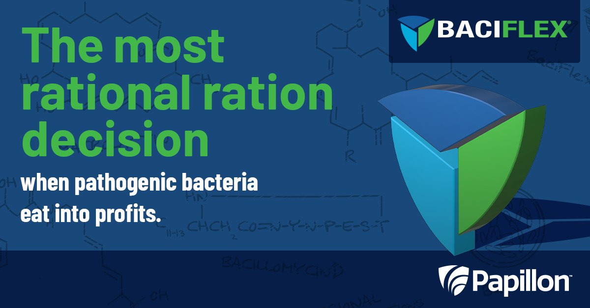 ✓ Contains multiple strains of Bacillus subtilis
✓ Supports gut health and immune function
✓ Customized by region to maximize efficiency

Protect your margins from harmful bacteria. See how BaciFlex® can support your cows and bottom line. papillon-ag.com/products/bacif…