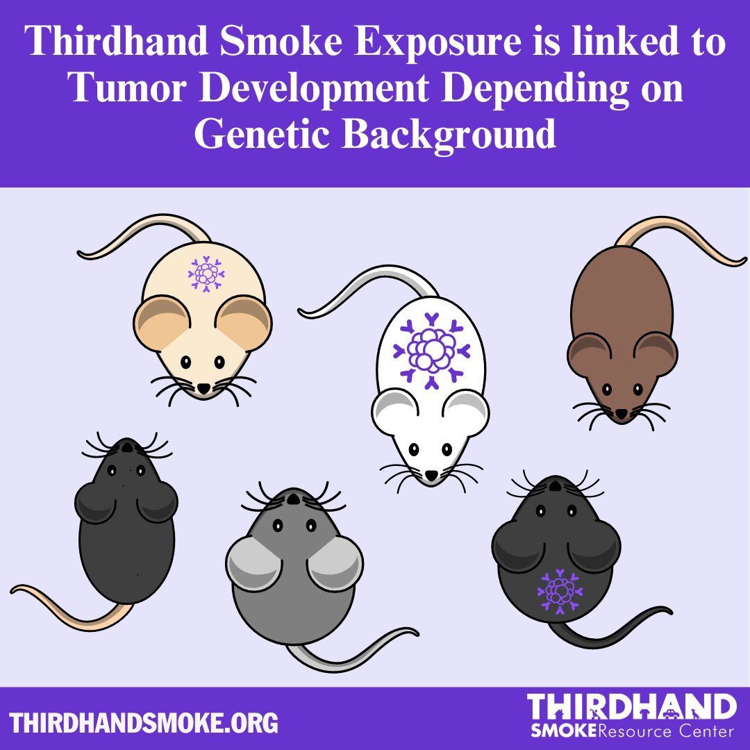 Thirdhand Smoke Resource Center tweet media