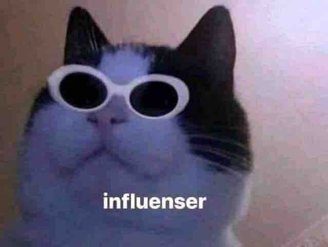 Guarromantico_'s tweet photo. Cuando mis memes llegan a 3 likes 

Yo: https://t.co/lXNu1sm0vE