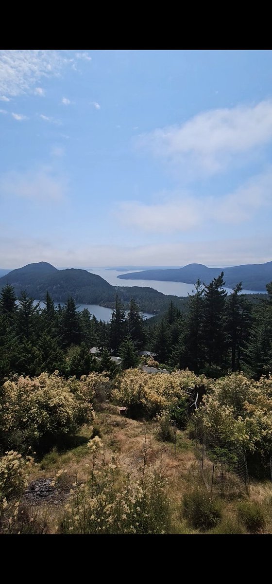 It's the second day in a row that we've seen Orcas off our deck in Eastsound.   #OrcasIsland