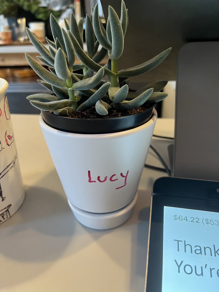 Kristin N-O-E-L-I-N-E tweet media