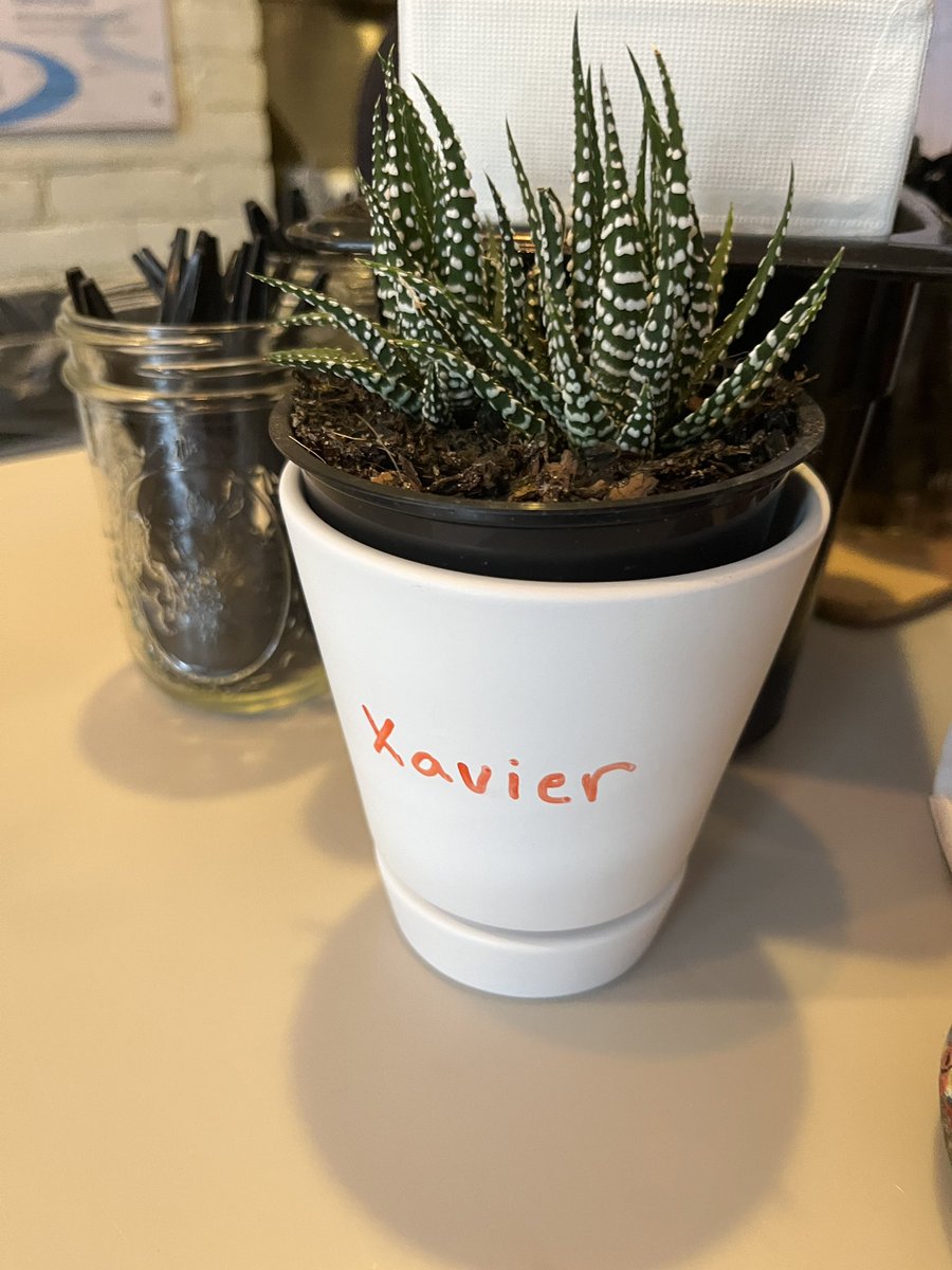 Kristin N-O-E-L-I-N-E tweet media