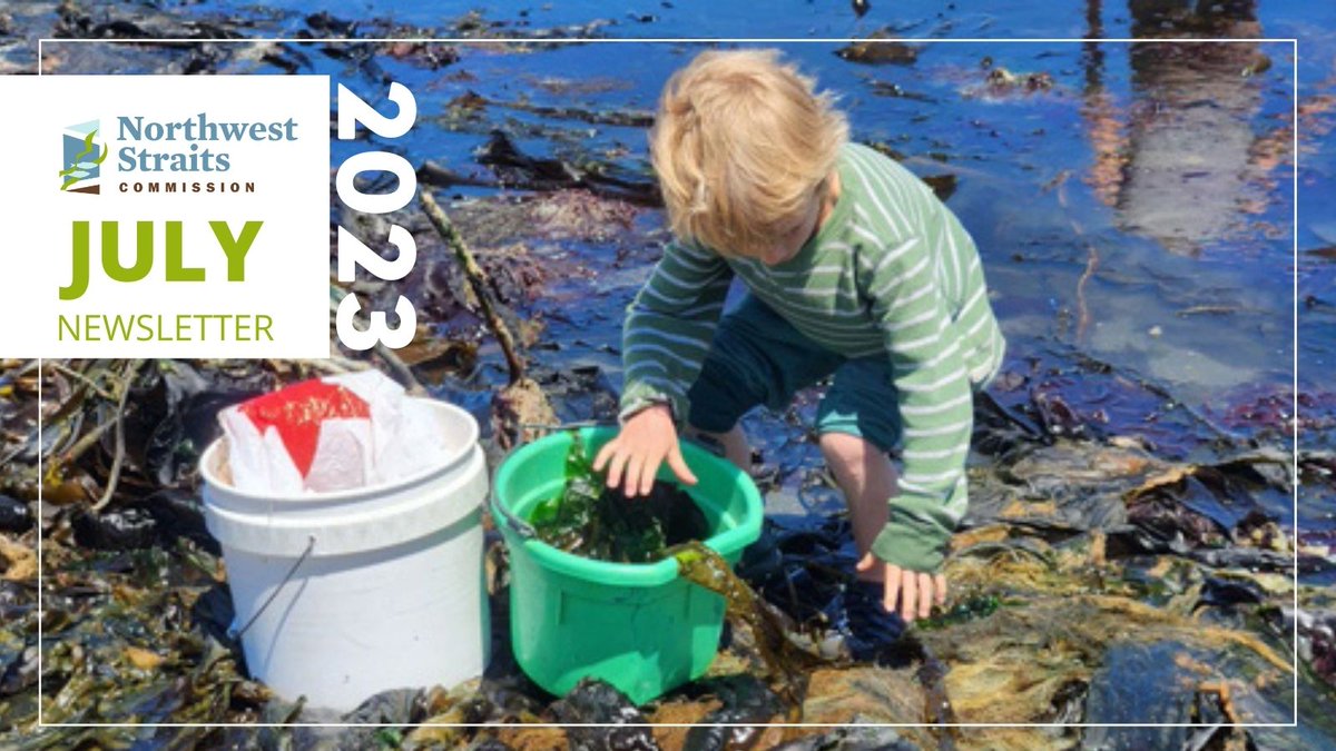 Northwest Straits tweet media