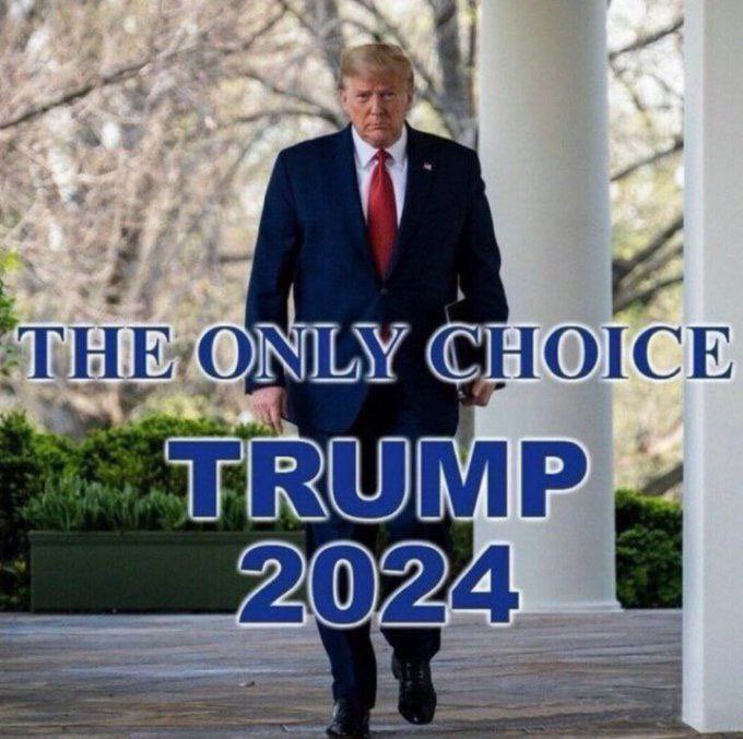 dsware123's tweet image. You’re either with Trump or you’re not. No time for bullshit we got a country to save🇺🇸 No time to criticize Trump knows what he’s doing.