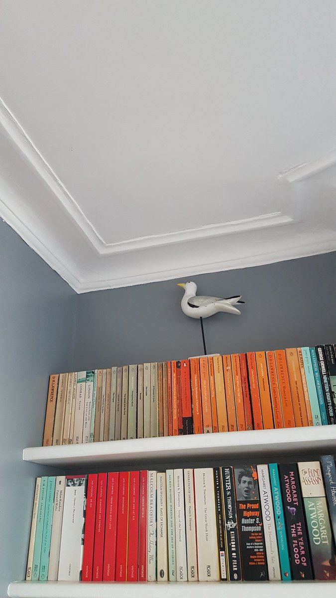 matlockjohn1971's tweet photo. Thanks for the inspirational speech @EducationFest today @ChrisGPackham Got home today, noticed my bookshelf and remembered what you were saying about libraries 😁 https://t.co/JQUVopDy6Z