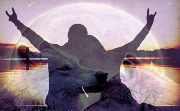 ulkuglpnr's tweet photo. 🇹🇷🐺🇹🇷

Yiğidin sözünden dönmeyenine
Ateşin yıllarca sönmeyenine
Silâhın omuzdan düşmeyenine
Atın gök kırına aşıksın gönül... https://t.co/X1pr1RFvkl