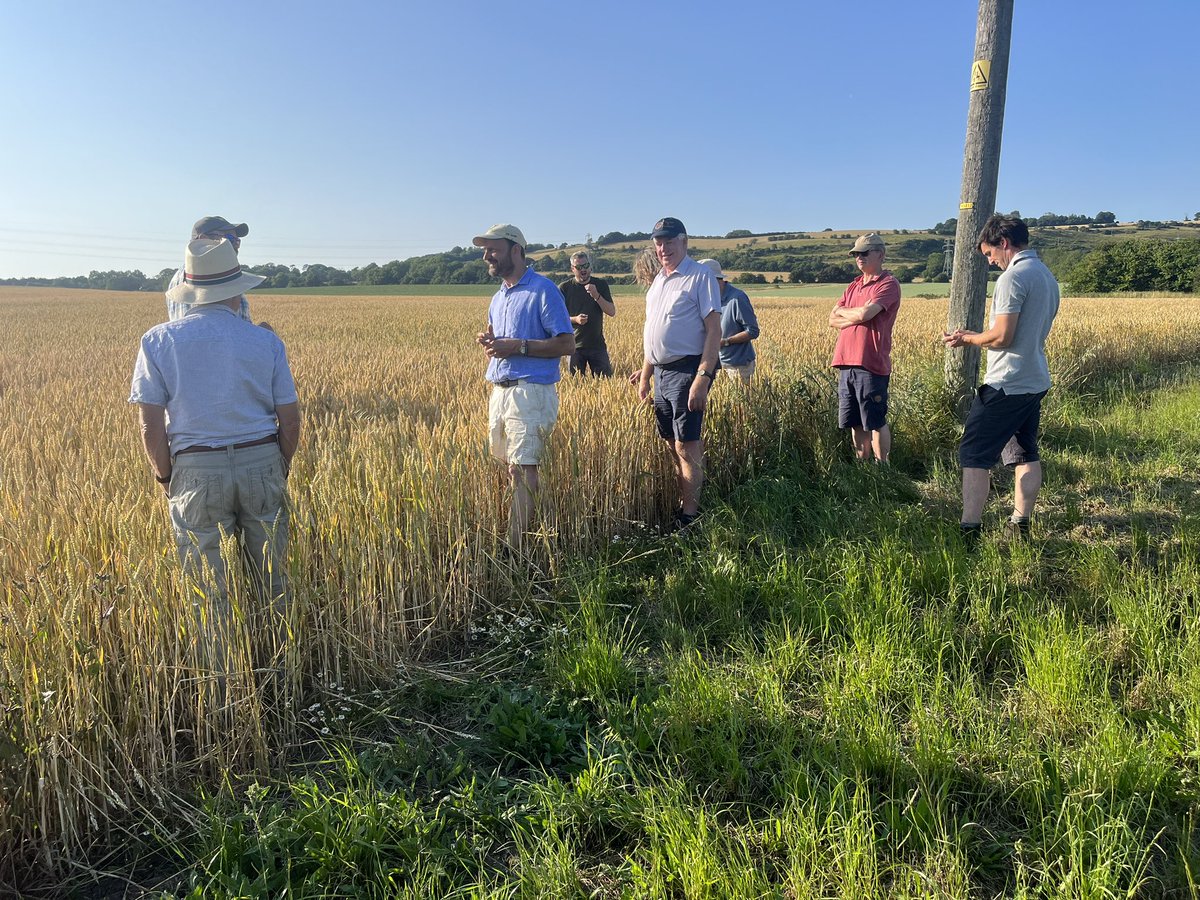 10TonneClub's tweet photo. Thank you to Tom &amp; Debbie Reynolds for hosting the Strawberry Tea this year.  It was very interesting to have a walk round the farm #wheat #wwc #kent #farming https://t.co/HGW1U45hUV