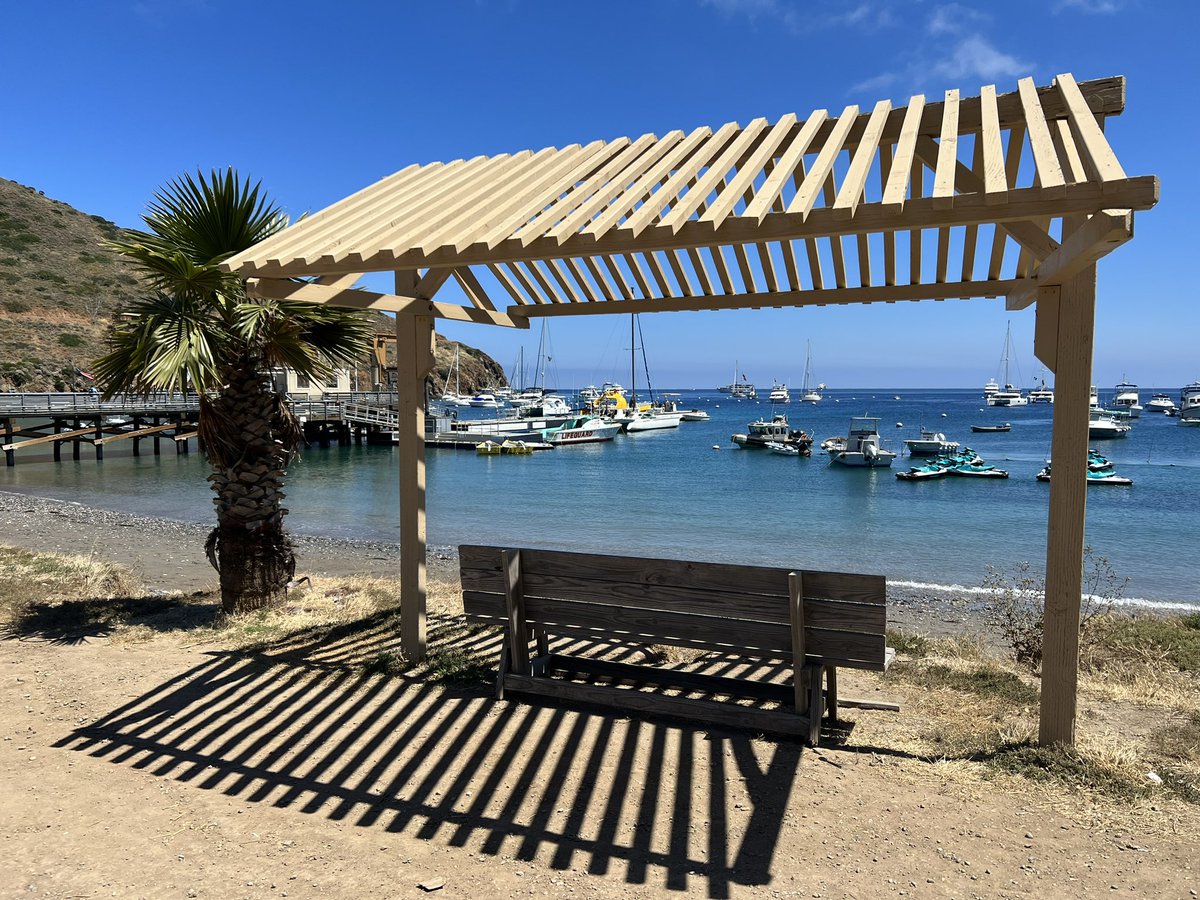 CodexTech's tweet image. Hello! Now finished with Four Swords Adventures, we should be set to start Paper Mario 64 on stream this weekend!

Unrelated pic from Catalina day trip 😎