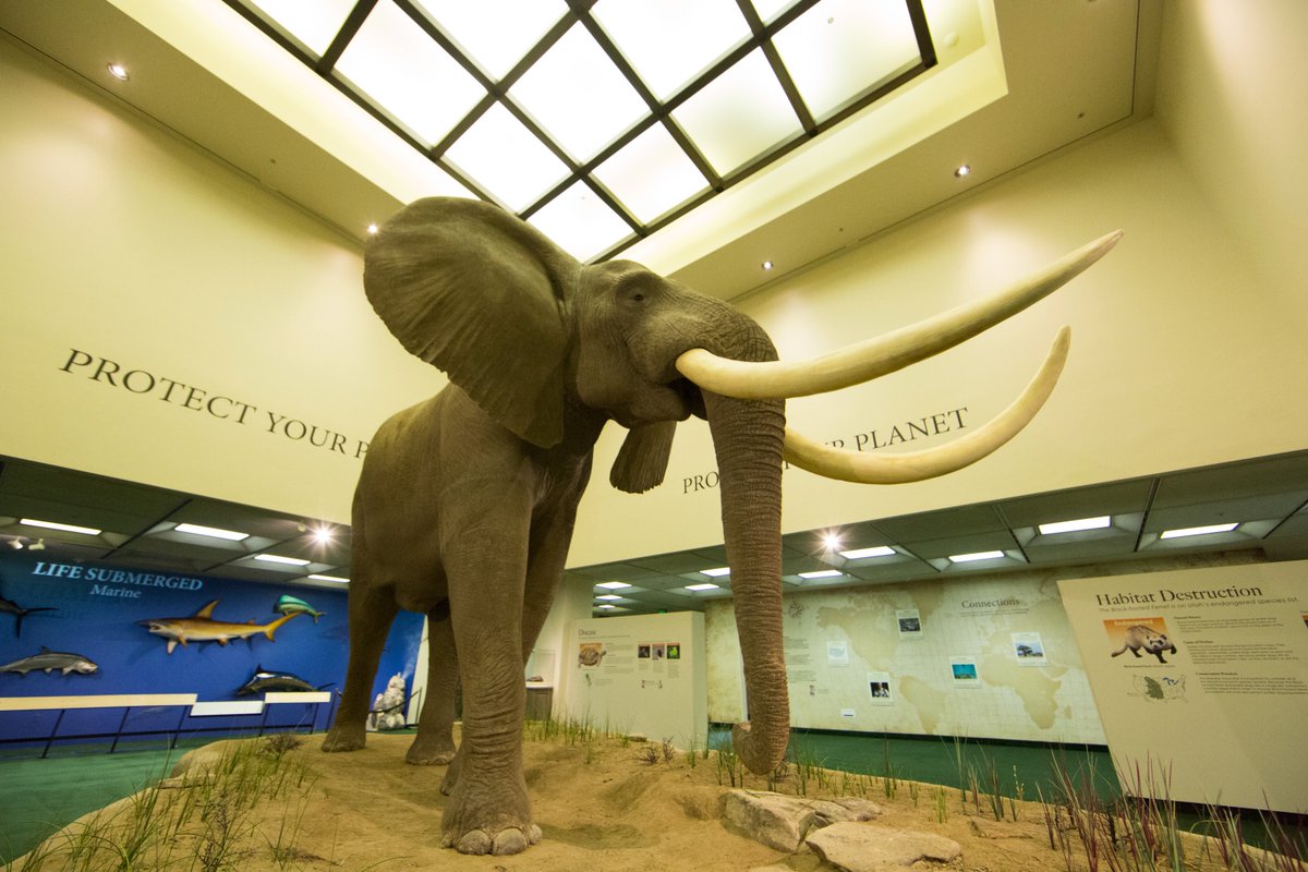 Utah Museums Association tweet media