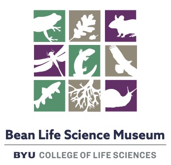 Utah Museums Association tweet media