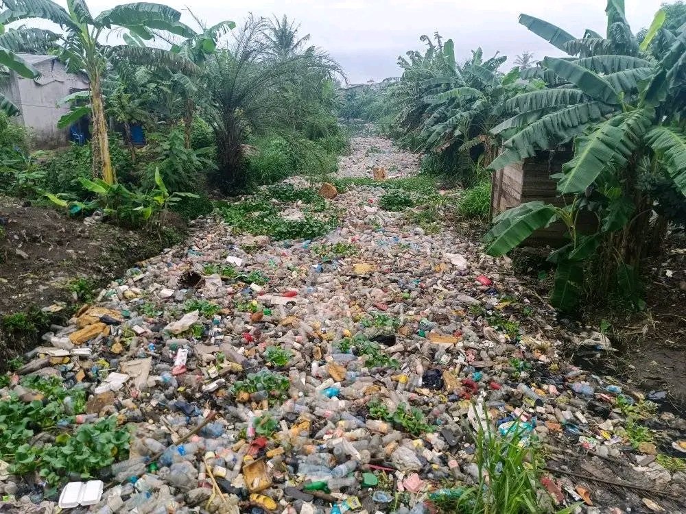 NjandaJoseph's tweet photo. 🌳 Cette jeune dame qui fabrique des Balais à partir de bouteilles usées vous demande pardon, de rendre son travail viral
 sur les réseaux sociaux en partageant au maximum👌🏽🌳

😎 LIKEZ ma page pour rester connecté à la une 👉 https://t.co/ITuhan6uSo
@bysoumah  @femm https://t.co/Np8pQuQ7lD