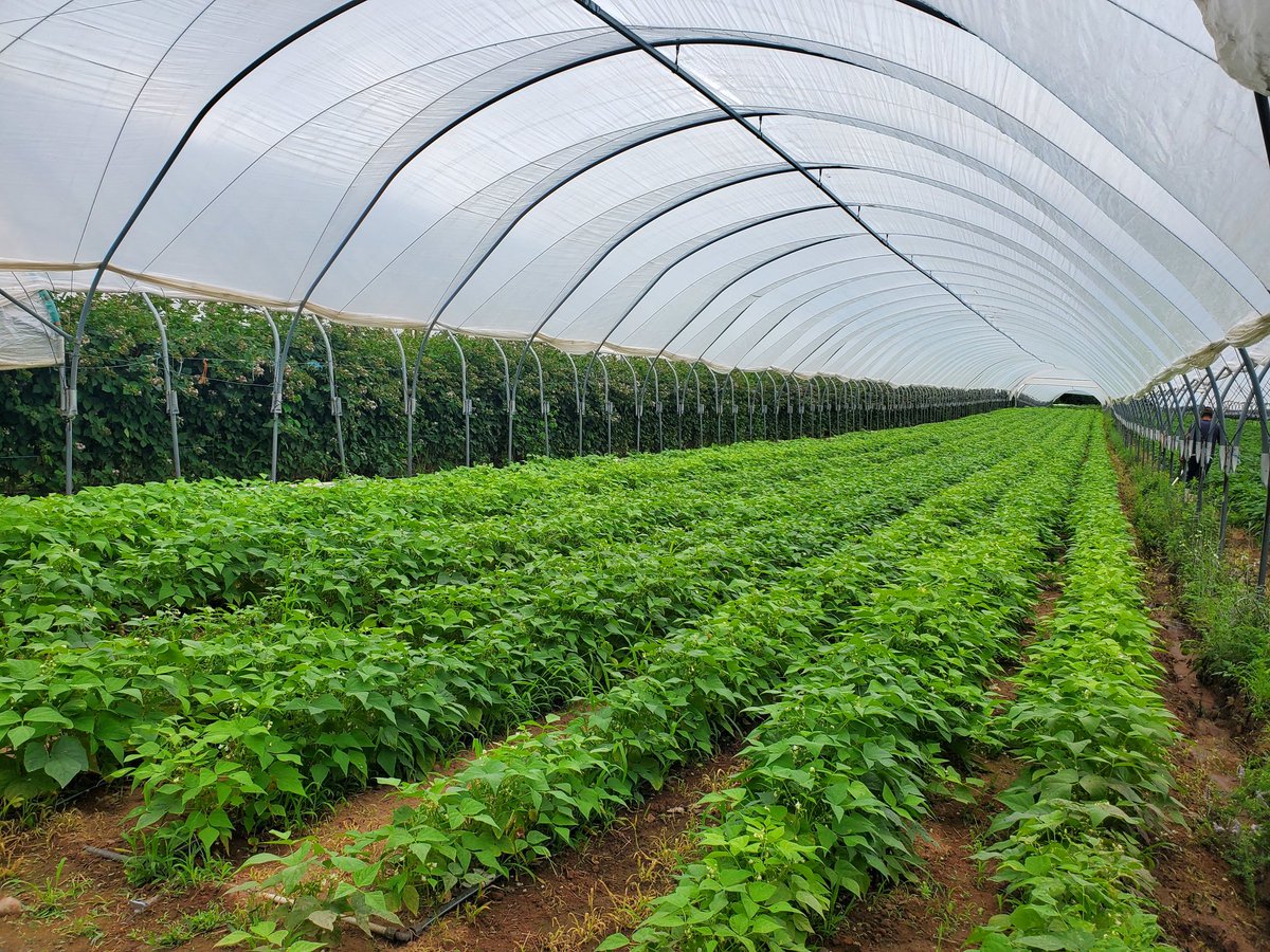 Judson Reid tweet media