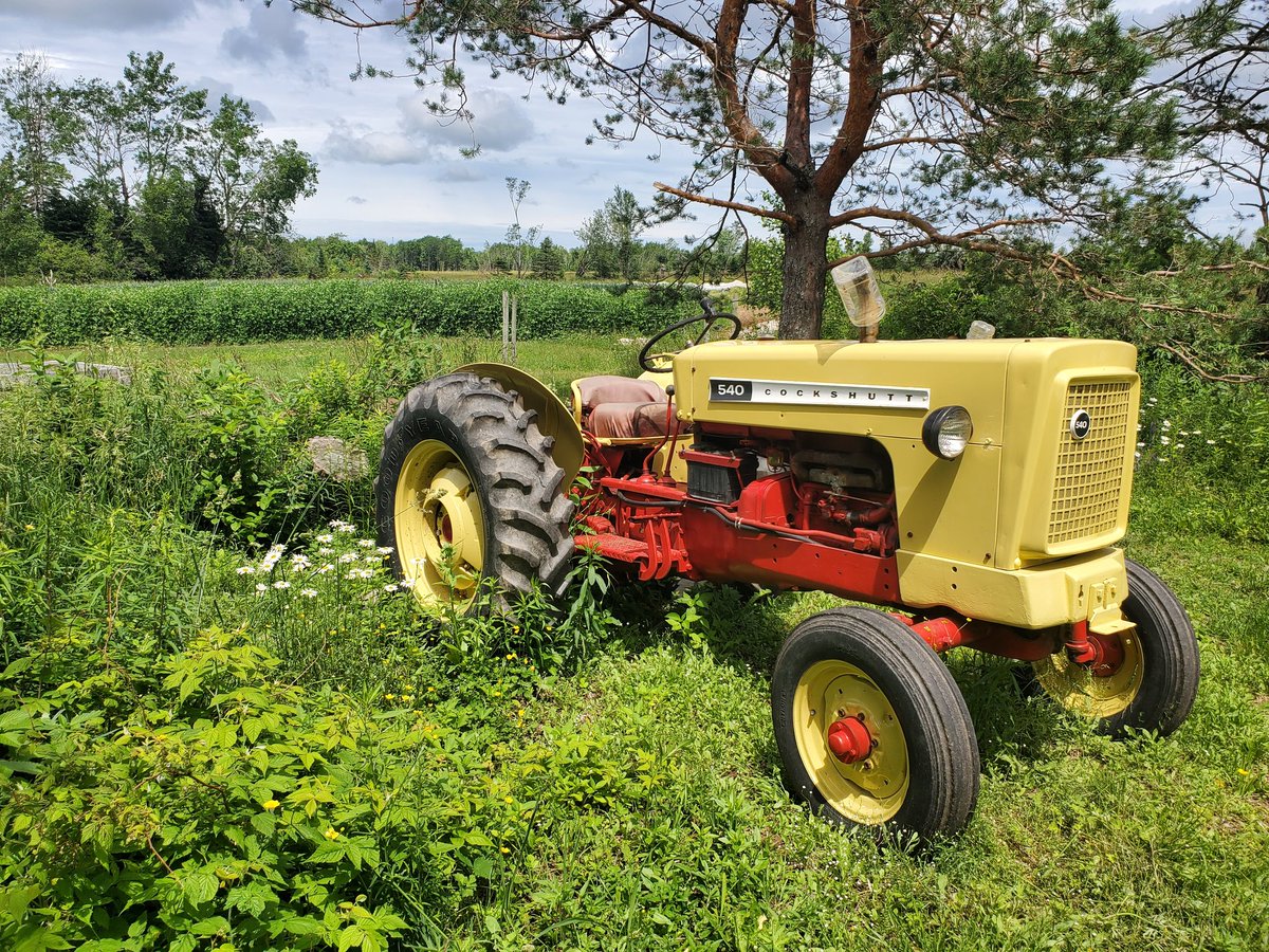 Judson Reid tweet media