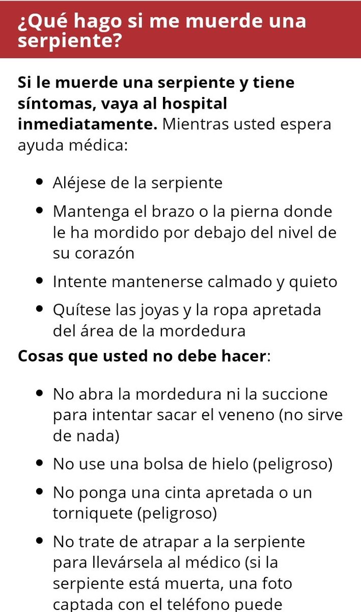CHOCO_TACHIRA's tweet photo. Qué se debe hacer en caso de ser mordido por una serpiente?

Calmarse y ponerse en reposo

Limpie la zona mordida con jabón para desinfectarla

No usar torniquete

Mantenerse hidratado

Inmovilice la extremidad mordida

NO colocar compresas frías o hielo

De inmediato al hospital https://t.co/gP00Vn2VSh