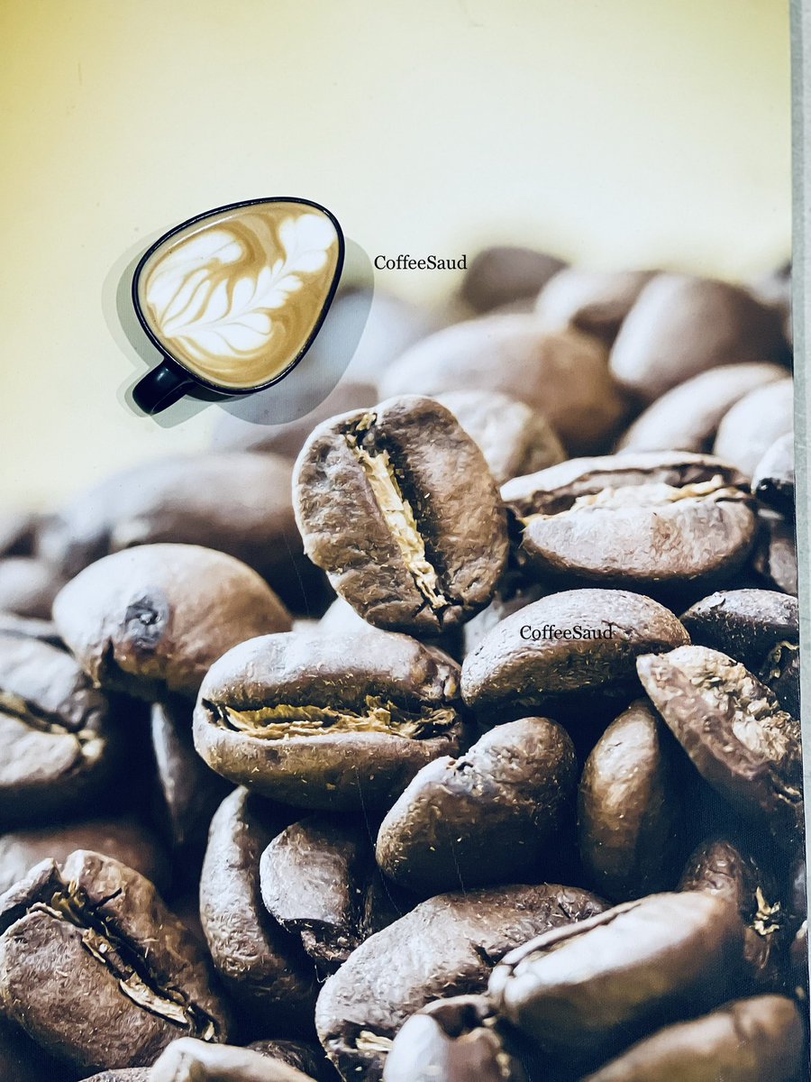 Coffee&Saud tweet media