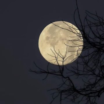 evrydayaestetic's tweet photo. full moon. https://t.co/IOwmMxkR71
