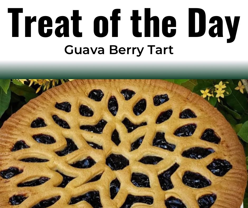 BrianNemecek1's tweet image. Treat of the day Guava Berry Tart 🫐. Find this delicious treat at SmallEat-Bakery.online  #guavaberry #tart #islandtart #guavaberrytart