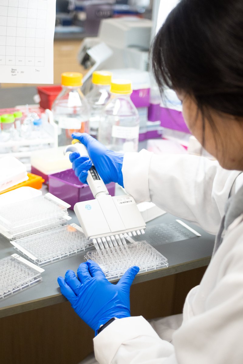 SanDiegoBiomed's tweet image. SDBRI’s environment is designed to promote collaboration across disciplines encouraging innovation and teamwork.
Read more at @sd_biomedical instagram.com/p/CuaUbINSZGD/…