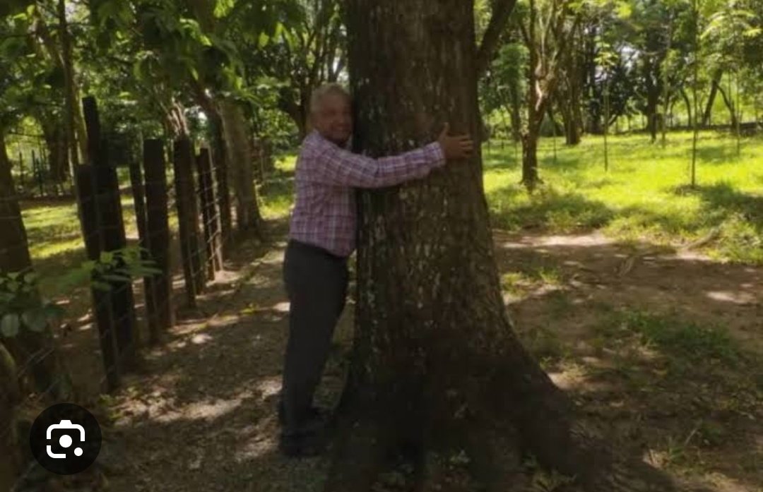 J4feT_25's tweet photo. ¿Se acuerdan de cuando los fachos se burlaban de AMLO por abrazar un árbol?

Pues ahora Xóchitl Gálvez le copia eso y esos mismos le van a aplaudir.

La hipocresía conservadora. https://t.co/oGeYGyIxYO