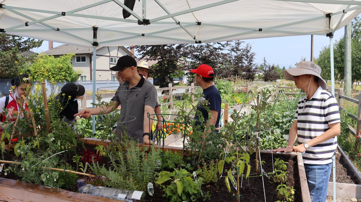 RCD_Richmond's tweet photo. Hot sun, great enthusiasm, heat of working together and fruitful outcomes are the @rcd_richmond #gardeningclub
#communitygarden #accessiblegardening #gardeningforall #accessibleplantingplot #peoplewithdisabilities #communitylife #activecommunitylifestyle #HappyHarvesting https://t.co/P2cKFNVvfk