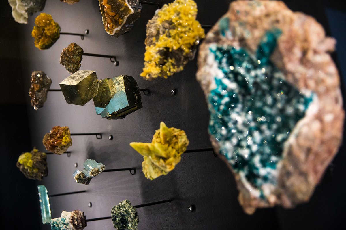 Utah Museums Association tweet media