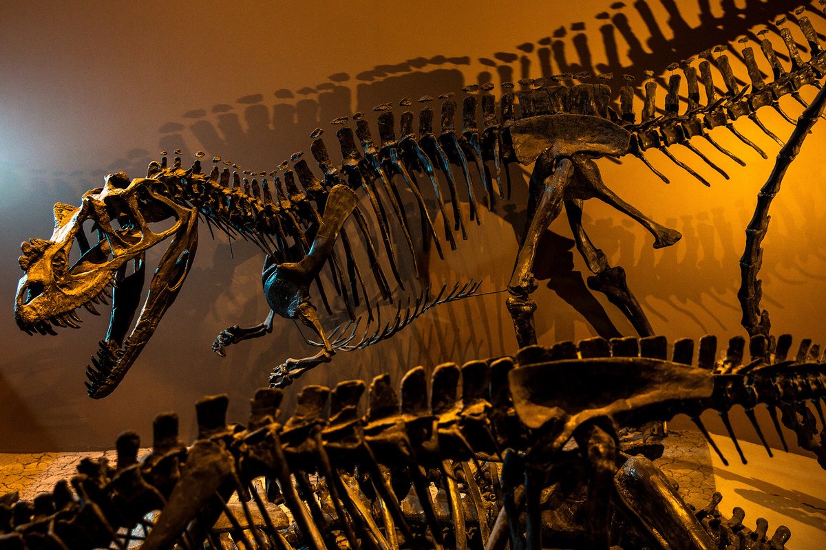 Utah Museums Association tweet media