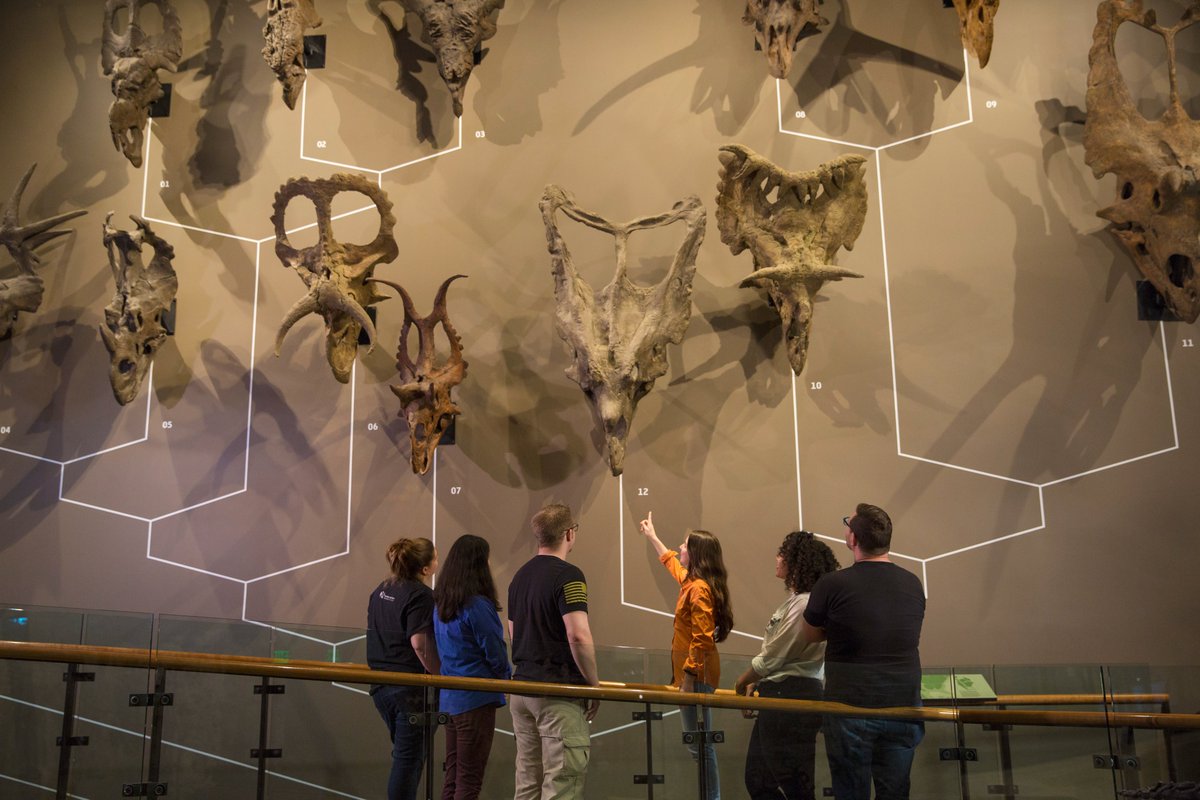 Utah Museums Association tweet media