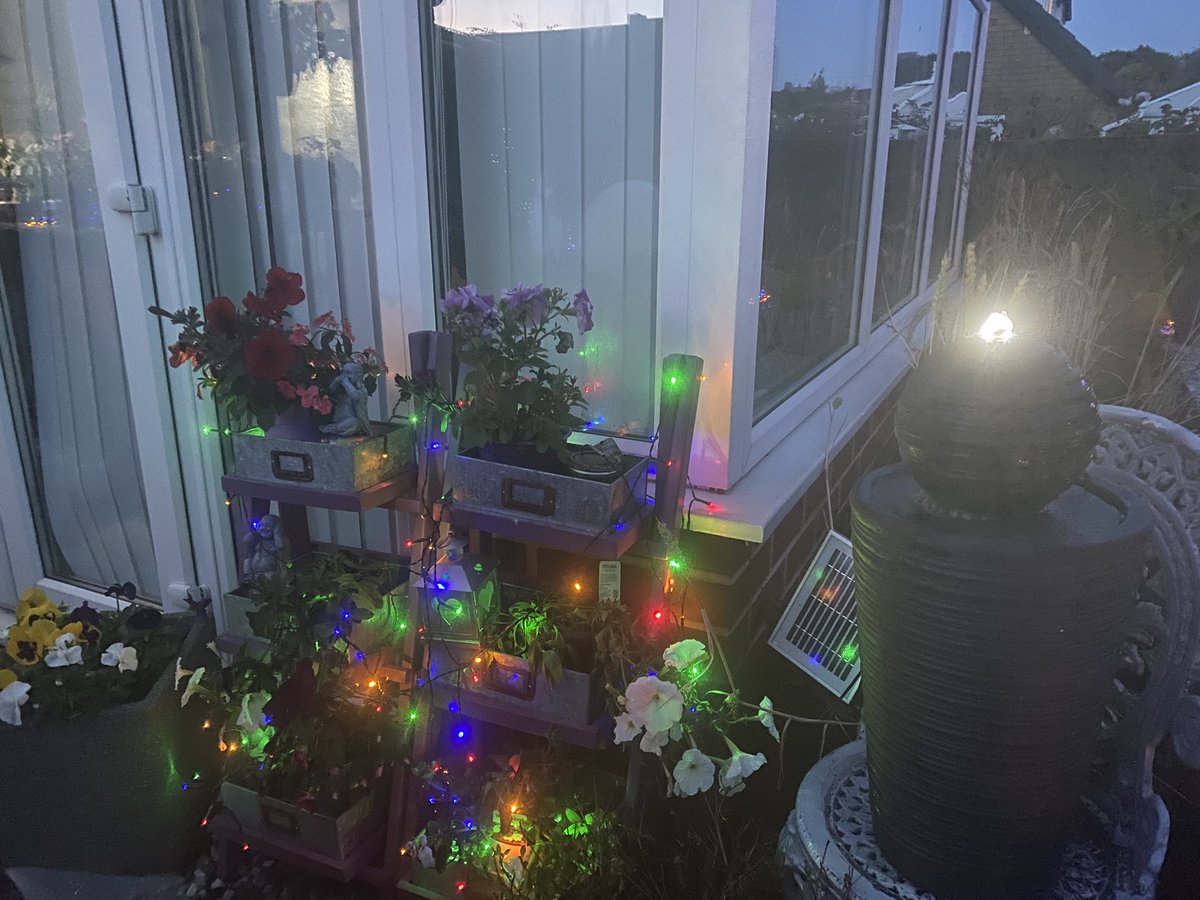 Lesley Goodburn tweet media