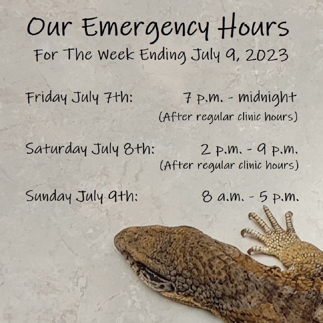 ExoticPetVets's tweet photo. Our after-hours emergency service starts this evening at 7 o'clock and runs until #midnight. On #Saturday, our #EmergencyHours run from 2 p.m. to 9 p.m. and on #Sunday from 8 a.m. to 5 p.m. Please call our clinic at 416-223-1165 if your #pet requires urgent medical care. https://t.co/FWtG7f0uGr