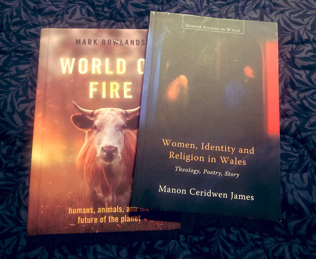 DrElizabethMac1's tweet photo. #DZPhillips is now on the #July #BookPile after I got delightfully sidetracked by a few other great #reads #books. It’s a wonderful #Welsh #Philosophy #Theology book stack this month. I’m starting with the brilliant @ManonCJames and a cup of tea! @KBJWhitstable you are lush too. https://t.co/scqFv2LBh6