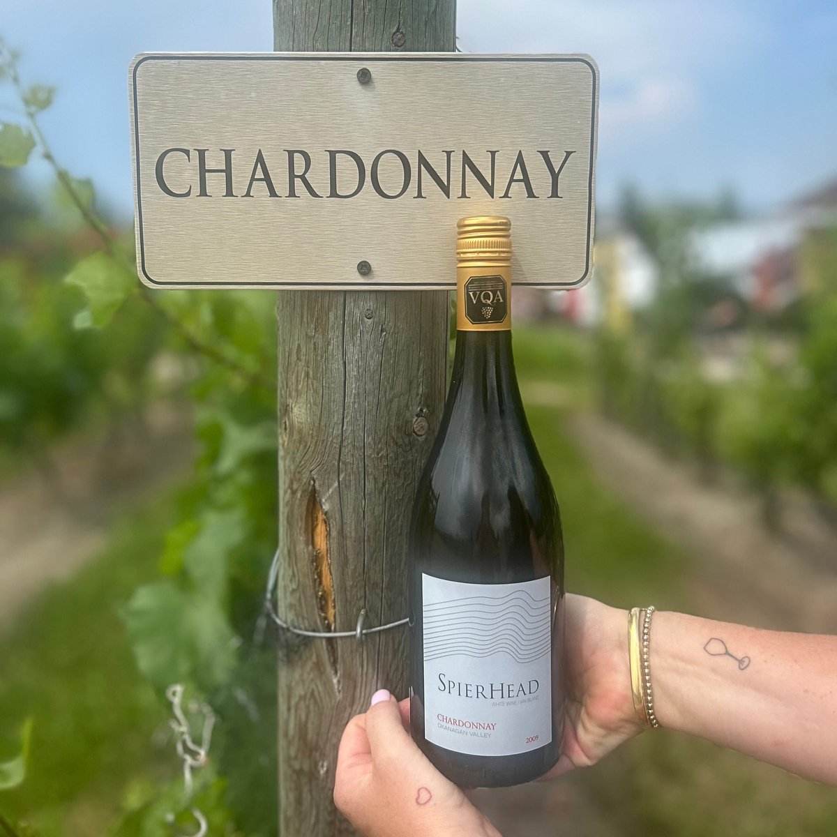 spearheadwinery's tweet photo. Do you love Chardonnay? If yes, join us this Wednesday July 12th when we are pouring our library Chardonnays by the glass! #chardonnay #okanaganvalley #kelowna #bcwine #librarywines #eastkelownaslopes https://t.co/X5uiPkEXGp