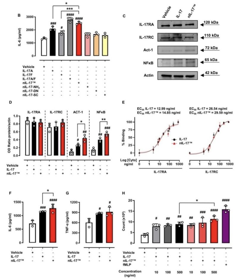 Il-17 story. Today our scientific work has just been accepted by the J An.of the RheDis(IF:27.5) in which a new biologic (Ab-IPL-IL17™) for IL-17-mediated diseases has been characterized by our group. It's a small step toward identifying innovative therapies for Autoim.Diseases