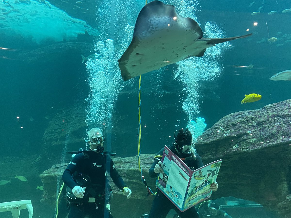 dannicholl's tweet image. That would be @riaanmanser and Murray Williams casually launching a new children’s book underwater today… Riaan’s second book for kids, taking the stories of his adventures to a young audience. His first book on Africa was brilliant; expect this one to strike a similar chord.