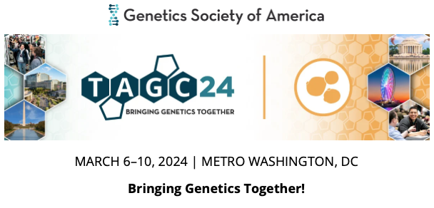Save the date! The 2024 #Yeast #Genetics Meeting #Yeast24 will be part of The Allied Genetics Conference 2024 #TAGC24 on March6-10 in D.C.   genetics-gsa.org/tagc-2024/yeas…