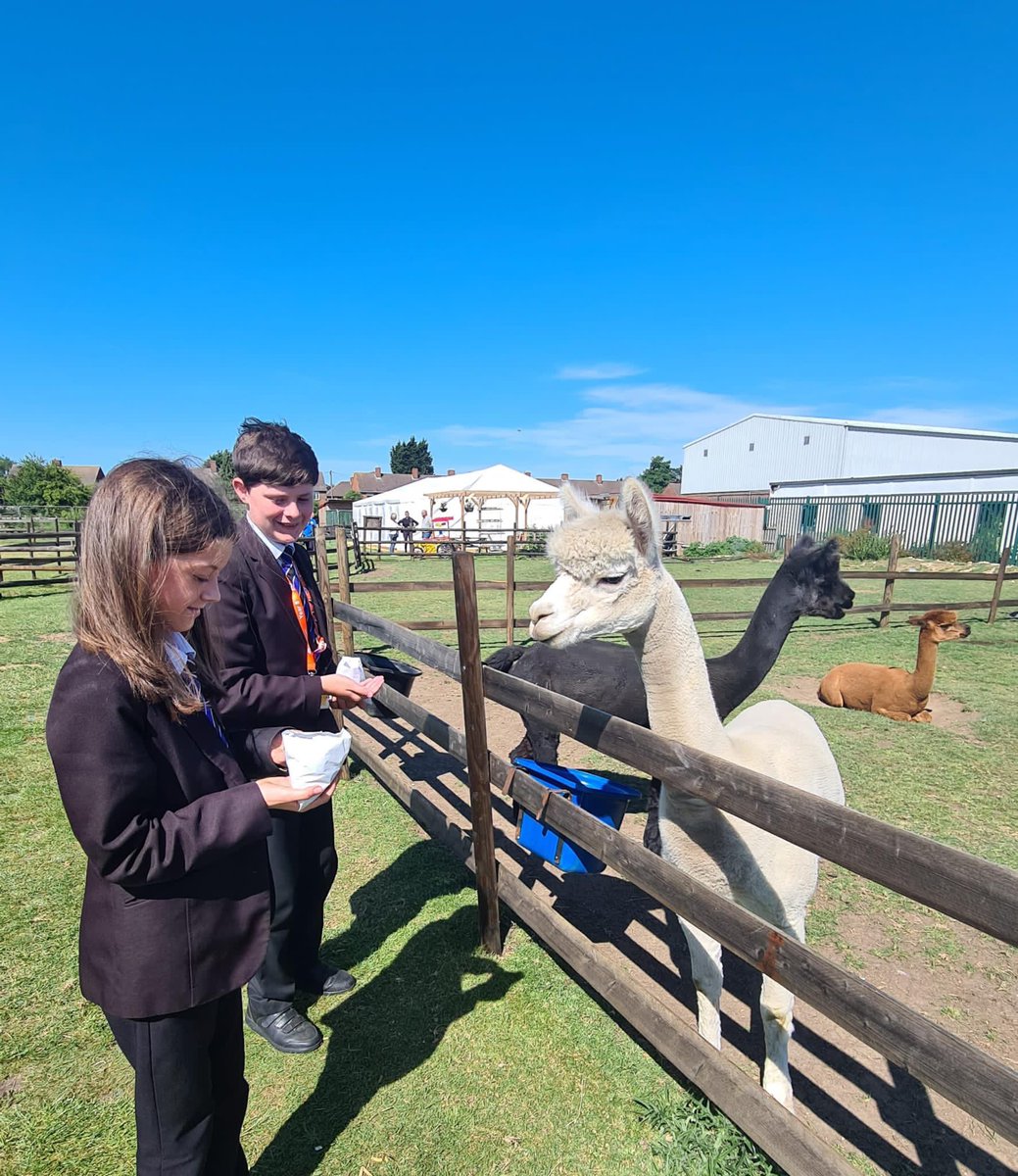 John Whitgift Academy tweet media