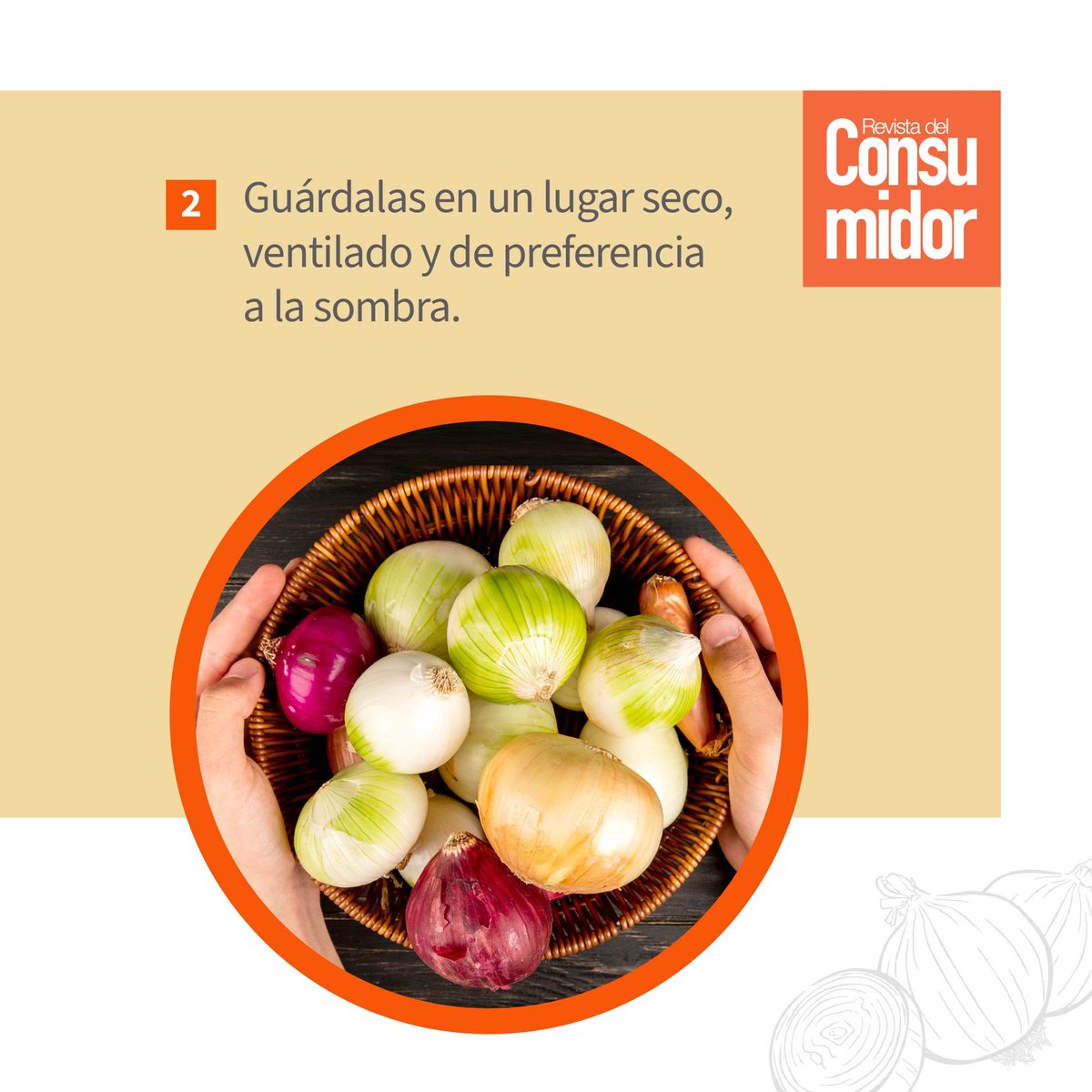 Profeco's tweet photo. 🧅La #Cebolla es la reina de las verduras por su versatilidad culinaria, intenso sabor, sus cualidades terapéuticas y propiedades antisépticas.
🛒Sigue nuestros #TipsProfeco para comprarla y conservarla. https://t.co/tfBmSbFHNa