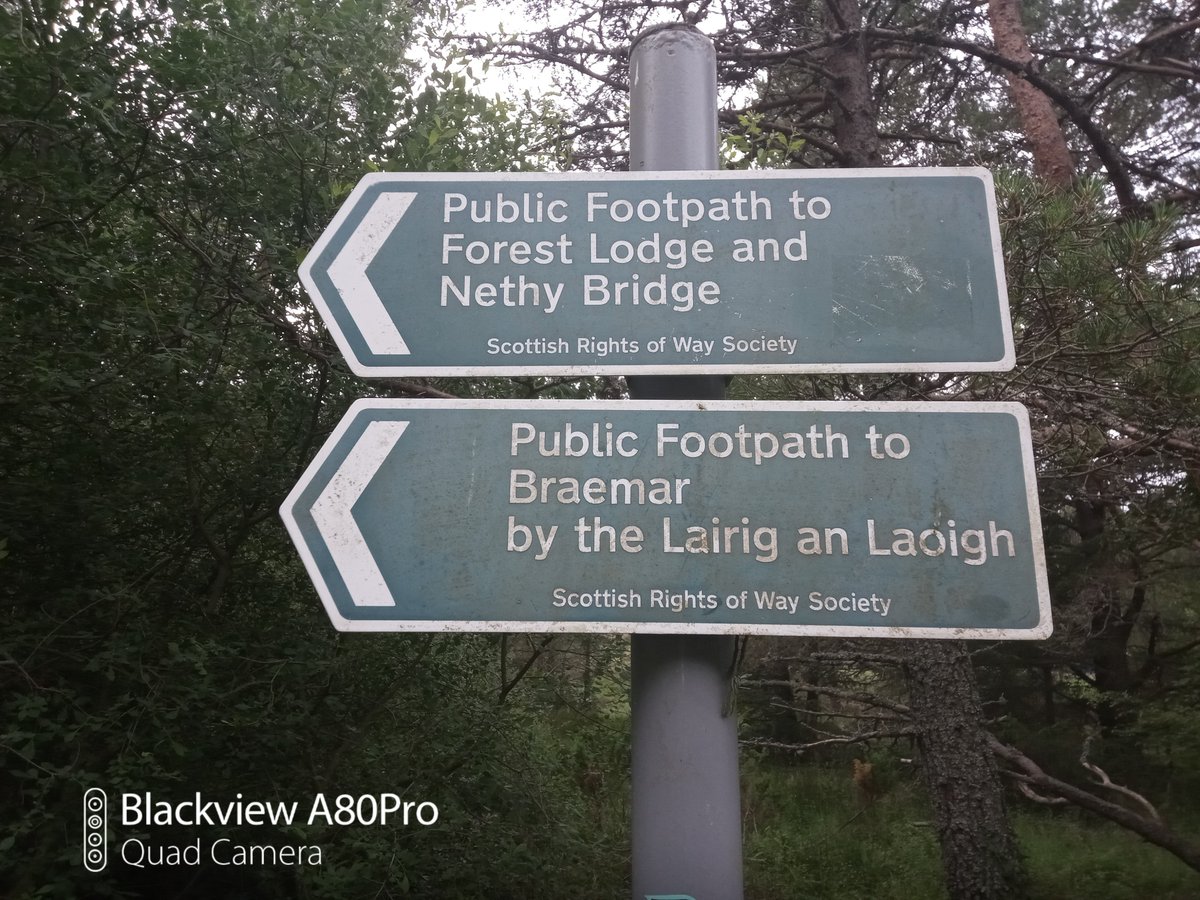 weesiecodal's tweet photo. Lovely wander around the Glenmore area today #fingerpostfriday https://t.co/uoU1tcQv5D