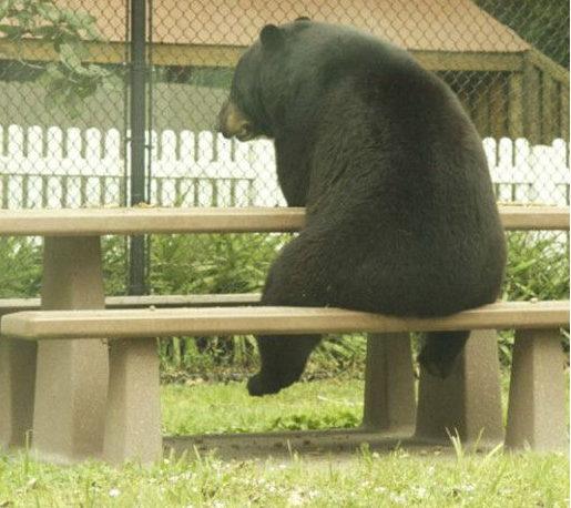 Lacey London tweet media