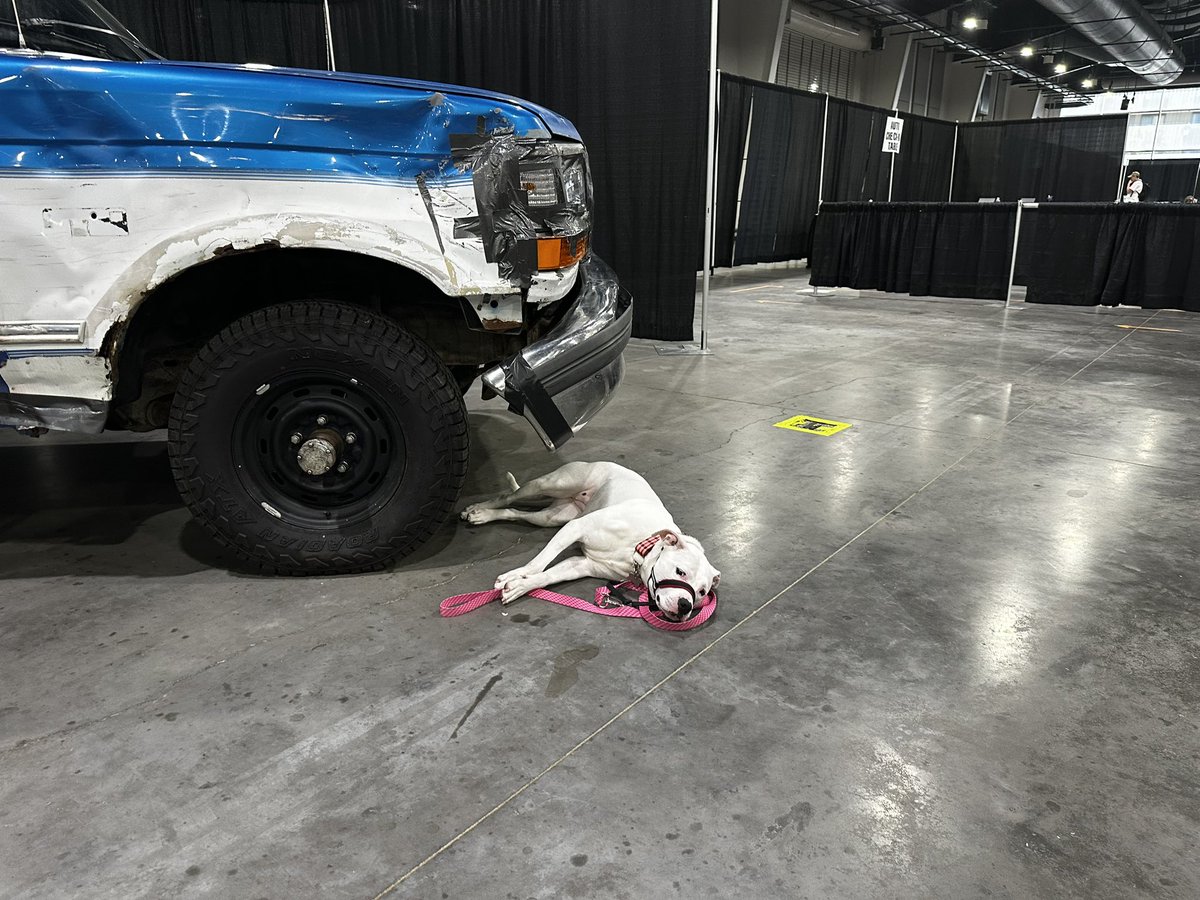 Whoops.

#selfieswithwaverly #thoughtsandprayers #EDE2023 #Earpers <a href="/PurgatoryArcheo/">Purgatory Archaeological Survey</a>