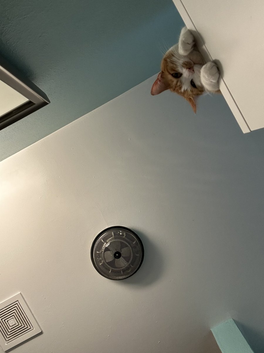 gototemple's tweet photo. Just hanging around…. https://t.co/SXG3A3bEaH